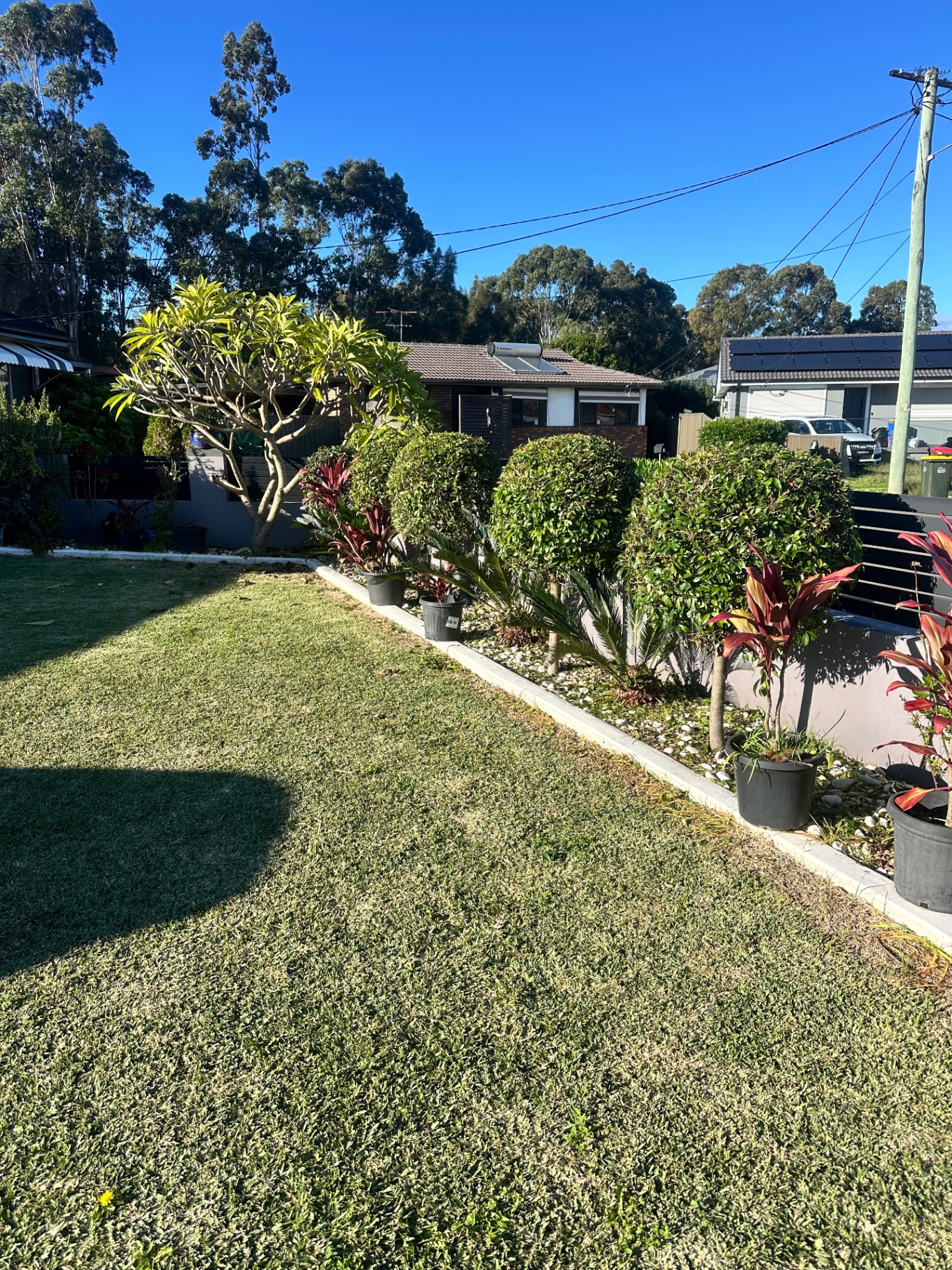Freshly mowed and edged front lawn with clean paver driveway, Sydney