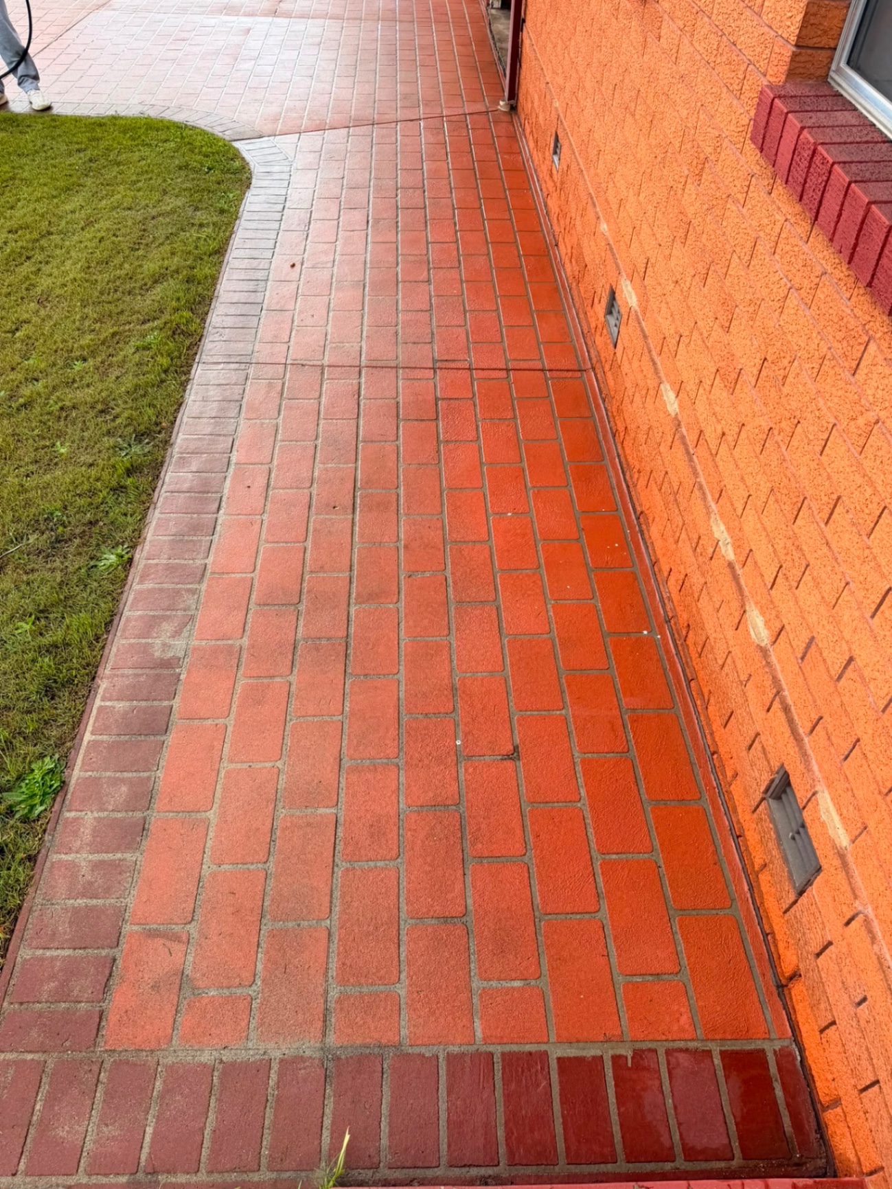 Cleaned red brick path and wall along a Sydney home boundary
